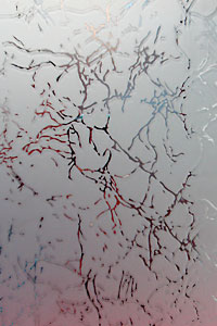 ������� ������